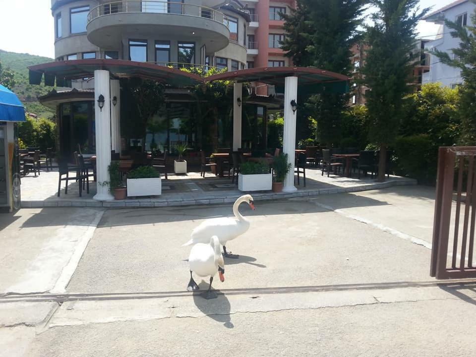 Hotel Saint Marena 波格拉德茨 外观 照片